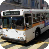 MUNI Rigid Buses